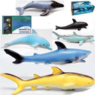 Ginmar: Animali - (059C) - Pesce Morbido Ass In Dbx