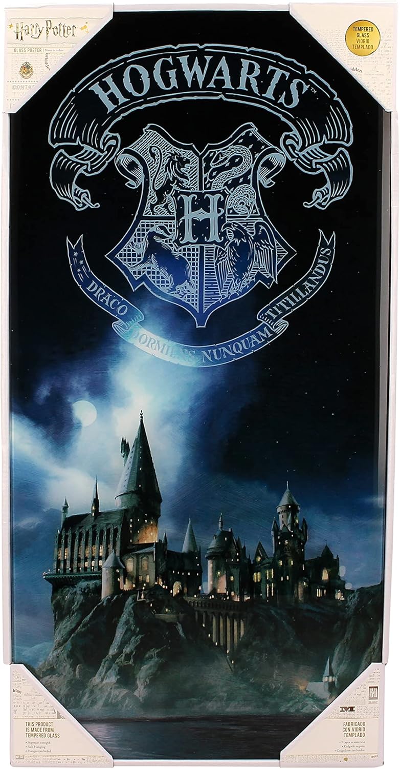 Harry Potter: Hogwarts 30 X 60 Cm (Glass Poster / Stampa Su Vetro)