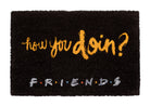 Friends: Erik - How You Doin'? (Zerbino)