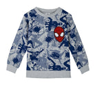 Felpa Cotton Brushed Spiderman Grigio Tg. 7 Anni