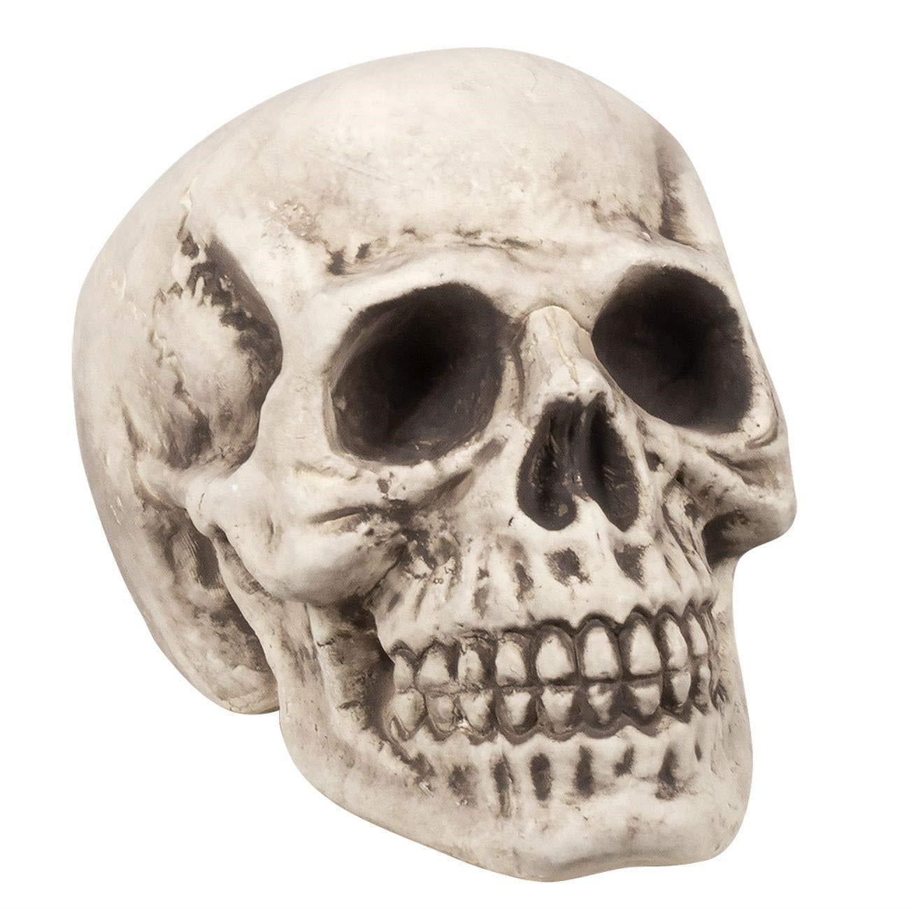 Boland: Pc. Skull Bighead (23 X 22 X 31 Cm) H