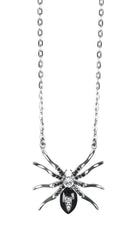 Boland: St. Ketting Black Widow