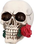 Boland: Pc. Skull Casanova (9.8 X 10.5 X 13.5 Cm) H