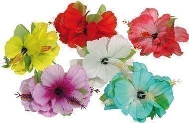 Folat: Hawaii Hairclip Flowers 6 Assort. Set 6 Mollette Per Capelli Fiori Hawaii