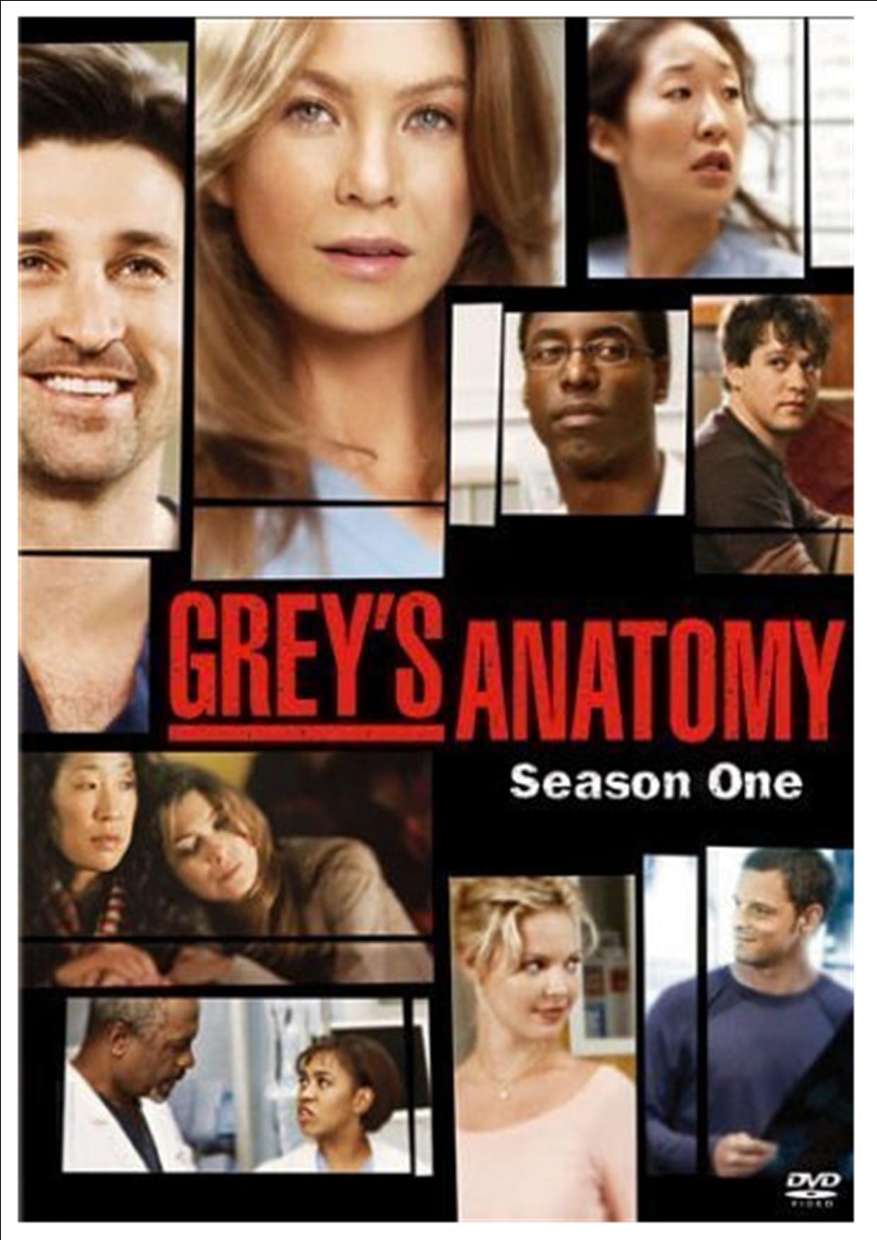 Grey's Anatomy - Stagione 01 (2 Dvd)