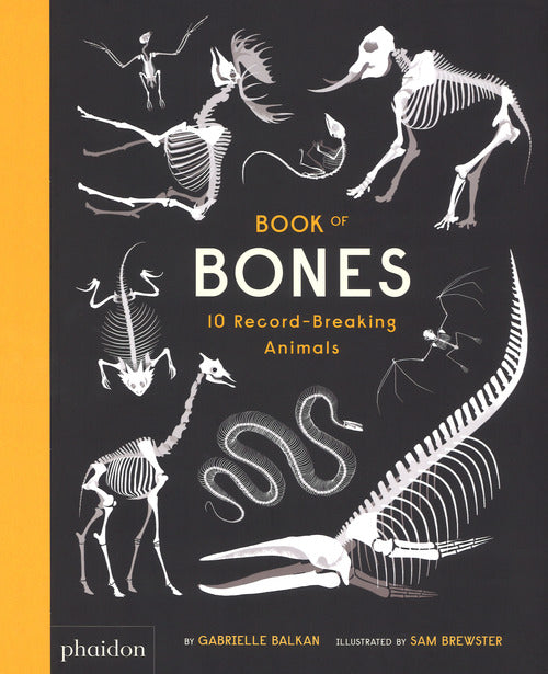 Cover of Book of bones