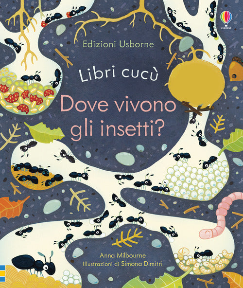 Dove vivono gli insetti?