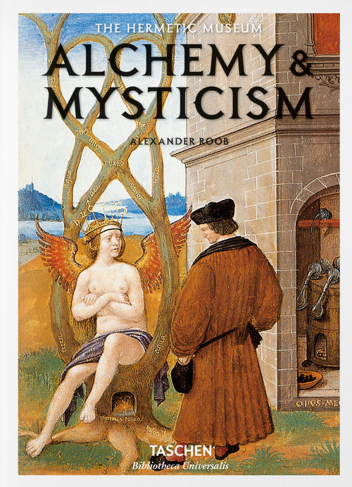 Cover of Alchemy & mysticism