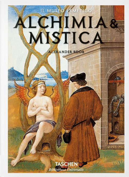 Cover of Alchimia & mistica. Segni e meraviglie