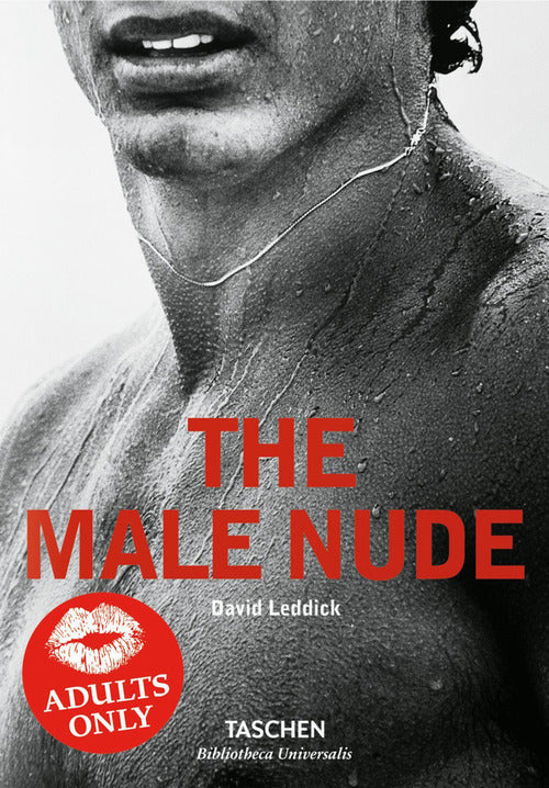 Cover of male nude. Ediz. italiana, spagnola e portoghese