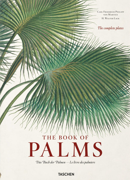Cover of C. F. P. von Martius. The book of palms. Ediz. inglese, francese e tedesca