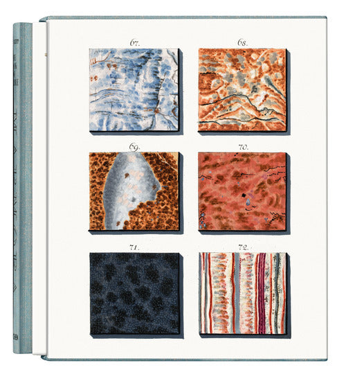 Cover of Jan Christiaan Sepp. The Book of Marble. Ediz. inglese, francese e tedesca