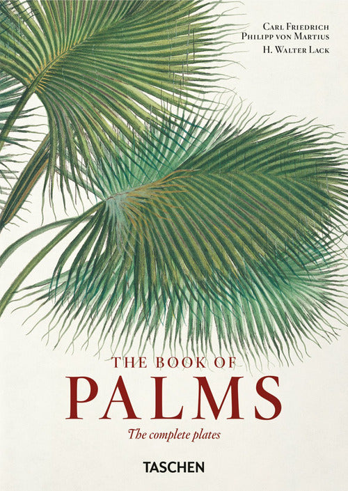 Cover of book of palms. Ediz. inglese, italiana e spagnola. 40th Anniversary Edition