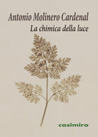 Cover of chimica della luce