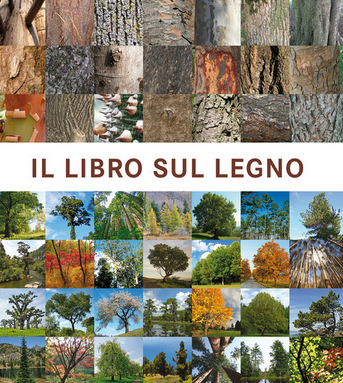 Cover of libro sul legno