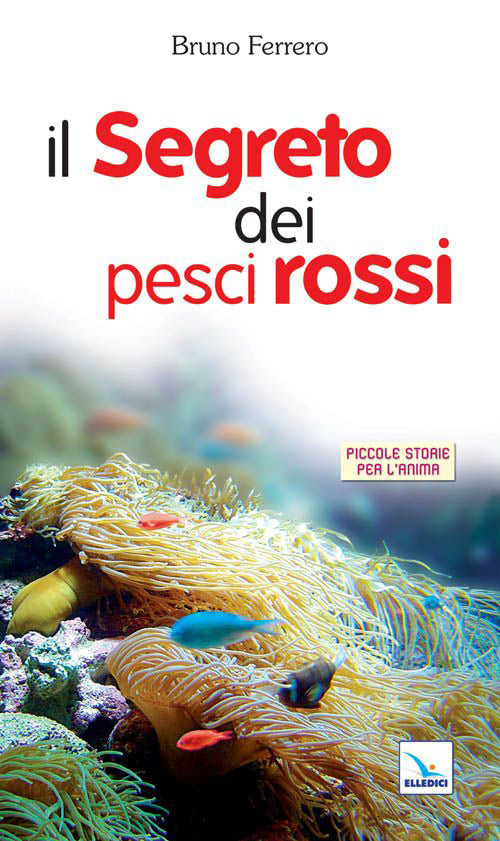 Cover of segreto dei pesci rossi