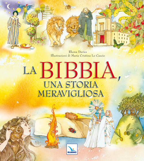 Cover of Bibbia, una storia meravigliosa