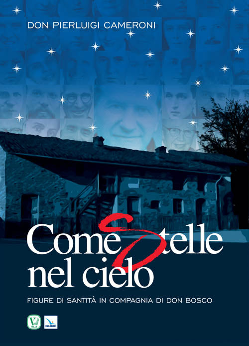 Cover of Come stelle nel cielo