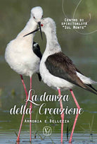 Cover of danza della creazione. Armonia e bellezza