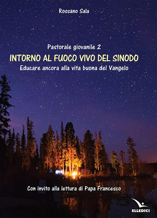 Cover of Intorno al fuoco vivo del sinodo