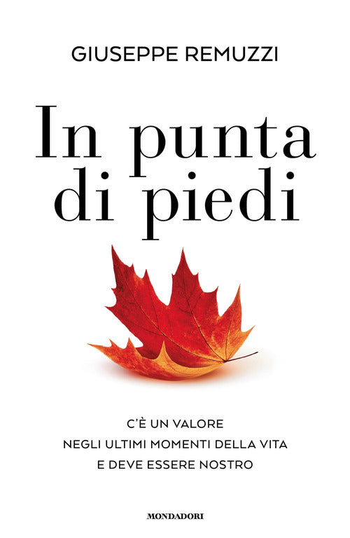 In punta di piedi