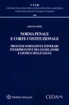Norma penale e corte costituzionale