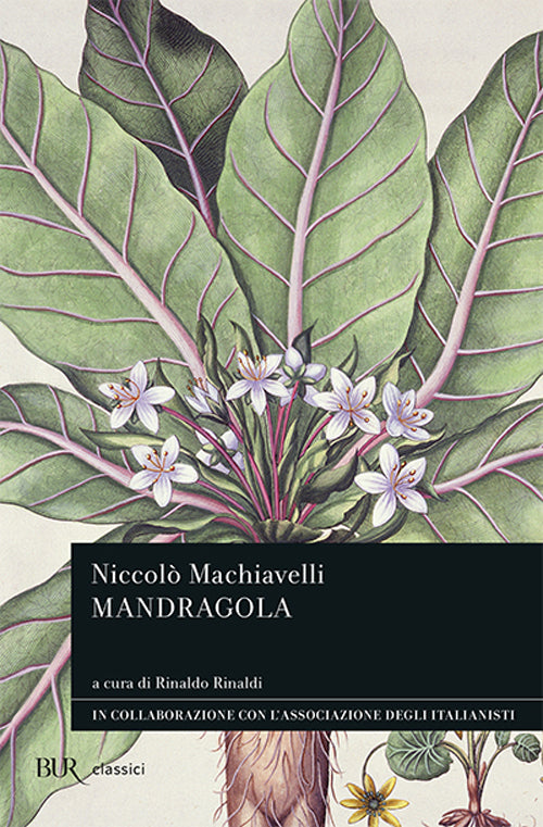 Cover of Mandragola