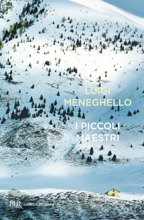 Cover of piccoli maestri