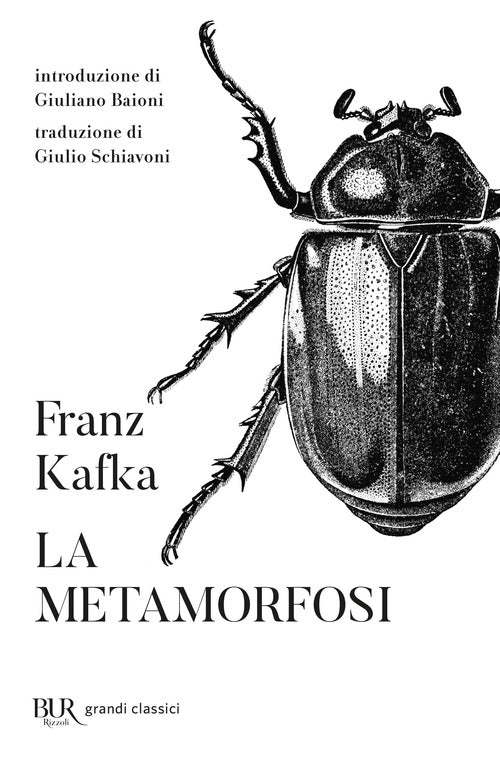 Cover of metamorfosi