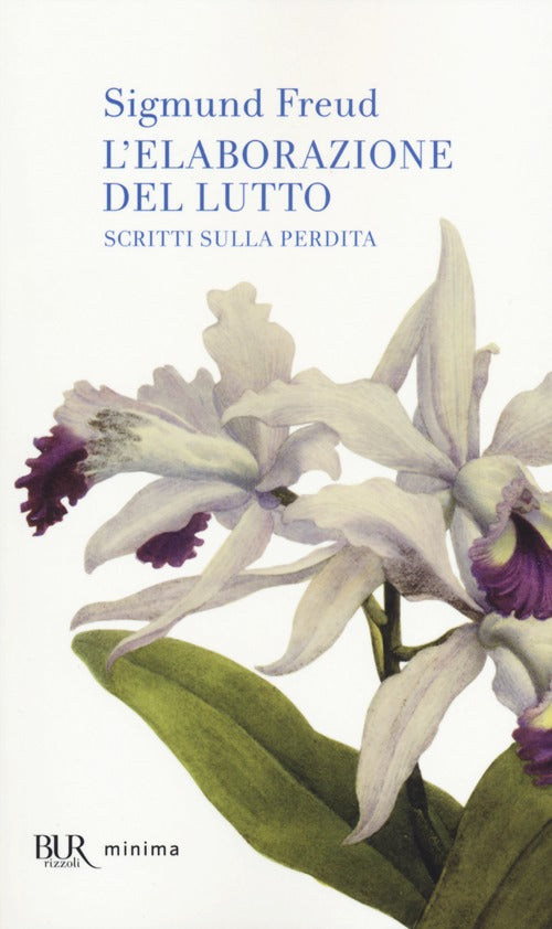 Cover of elaborazione del lutto. Scritti sulla perdita