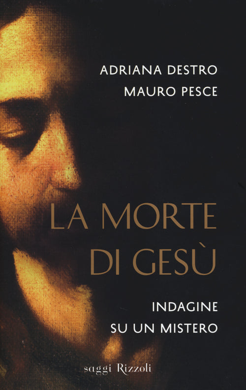 Cover of morte di Gesù. Indagine su un mistero