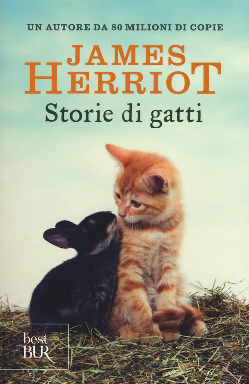 Cover of Storie di gatti