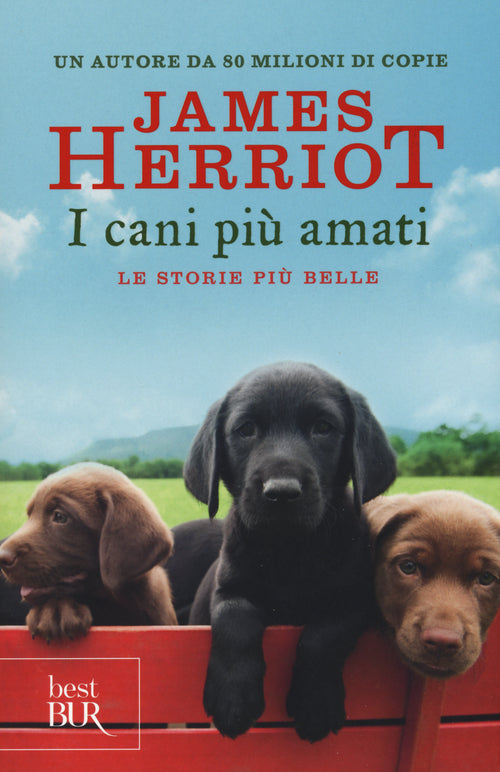 Cover of cani più amati. Le storie più belle