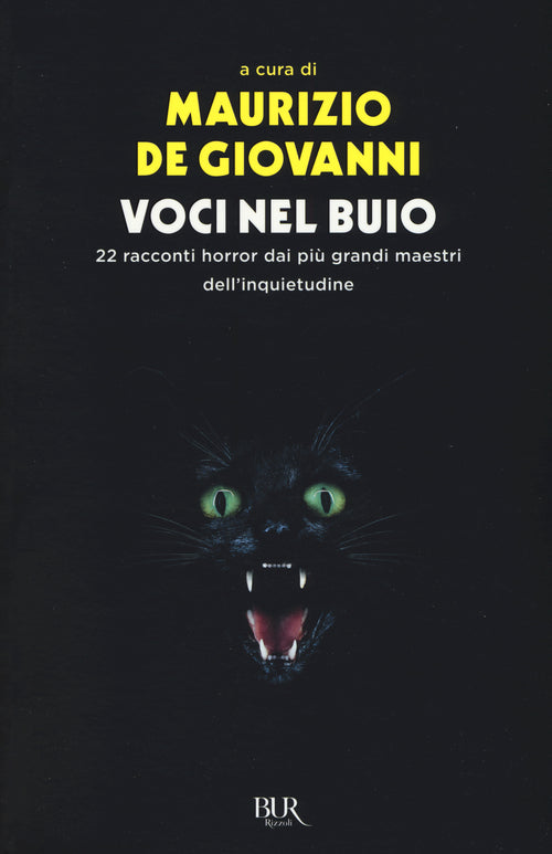 Cover of Voci nel buio. 22 racconti horror dei più grandi maestri dell'inquietudine