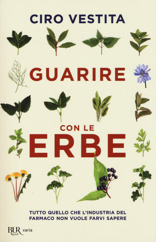 Cover of Guarire con le erbe. Tutto quello che l'industria del farmaco non vuole farvi sapere