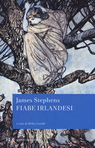 Cover of Fiabe irlandesi