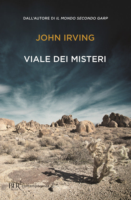 Cover of Viale dei misteri