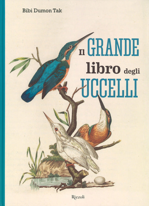 Cover of grande libro degli uccelli