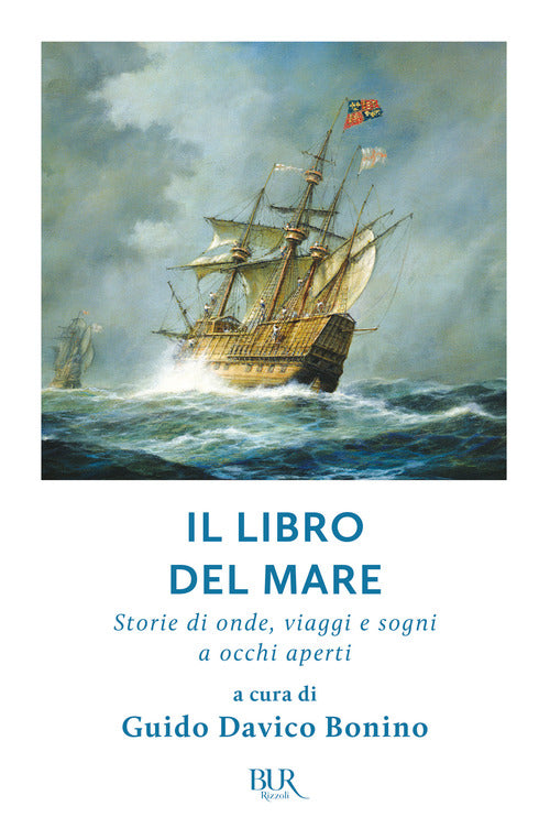 Cover of libro del mare. Storie di onde, viaggi e sogni a occhi aperti