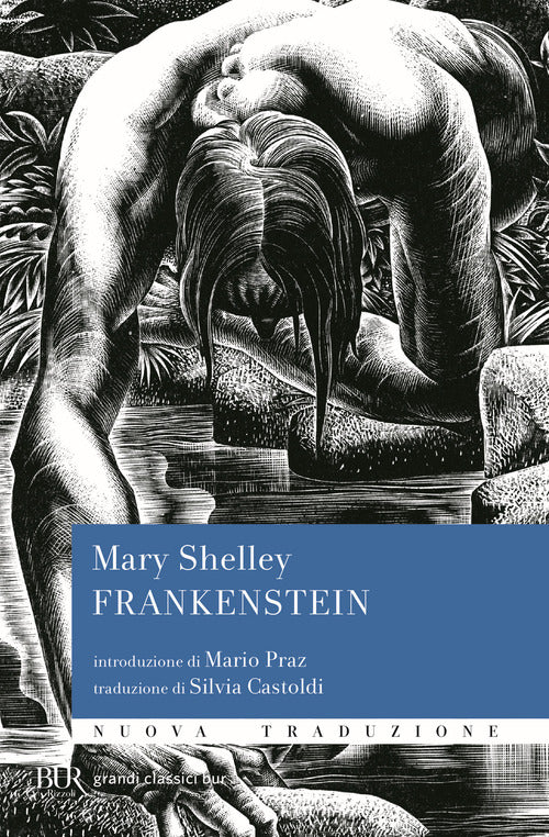 Cover of Frankenstein