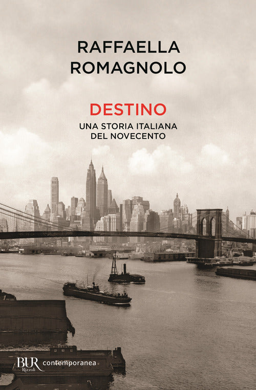 Cover of Destino