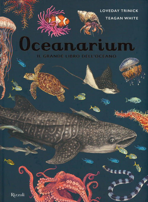 Cover of Oceanarium. Il grande libro dell'oceano