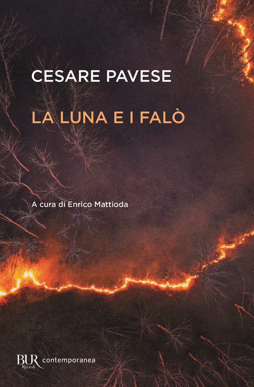 Cover of luna e i falò