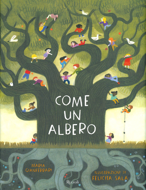 Cover of Come un albero