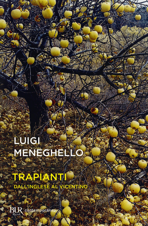 Cover of Trapianti. Dall'inglese al vicentino