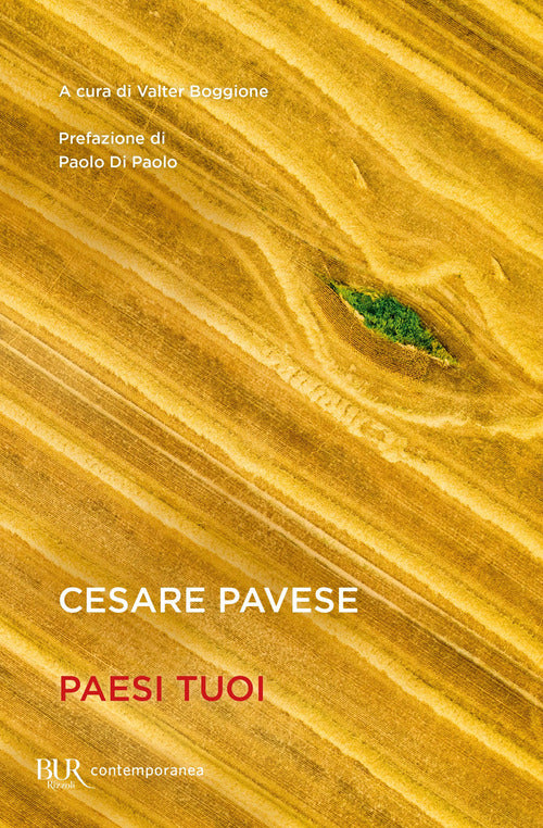 Cover of Paesi tuoi