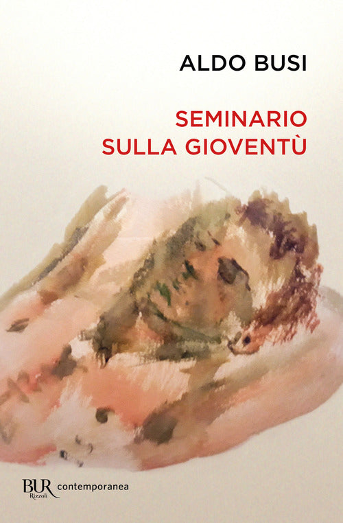 Cover of Seminario sulla gioventù