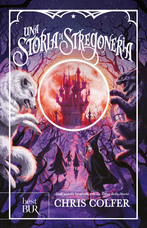 Cover of storia di stregoneria