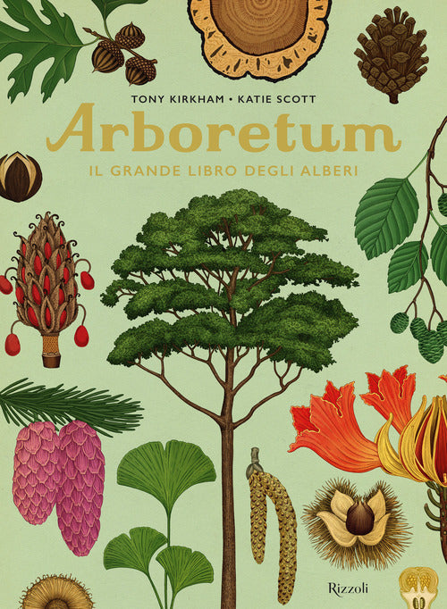 Cover of Arboretum. Il grande libro degli alberi
