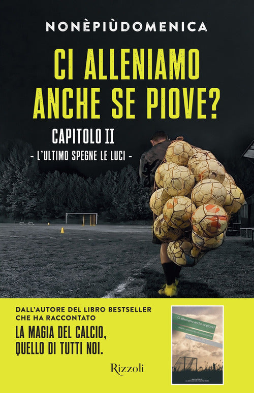 Cover of Ci alleniamo anche se piove?
